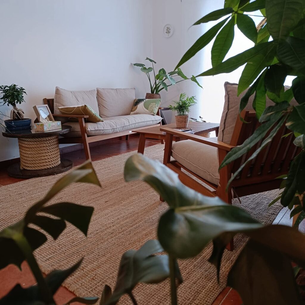 WhatsApp Image 2026 02 25 at 11.00.31